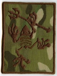 Seal Frog Logo-Patch